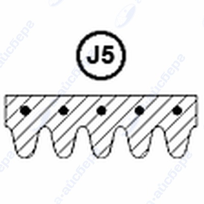 Ремень 1321 J5 Merloni 104490 1.11.000.38